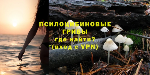 COCAINE Богородицк