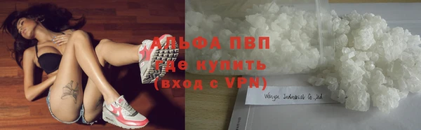 спиды Богданович