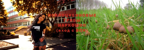 спиды Богданович