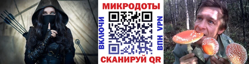 Псилоцибиновые грибы Psilocybe  Купить  Реж 